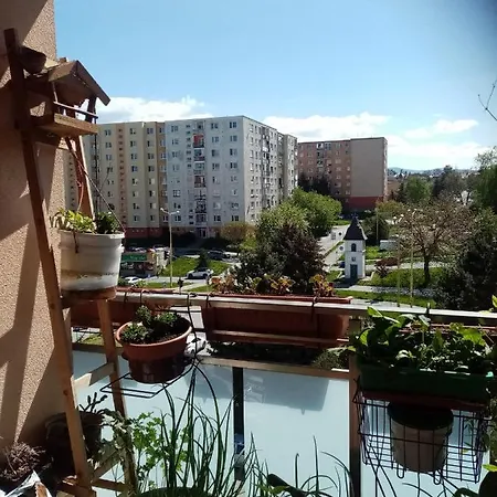 Pohodlna Bytovka